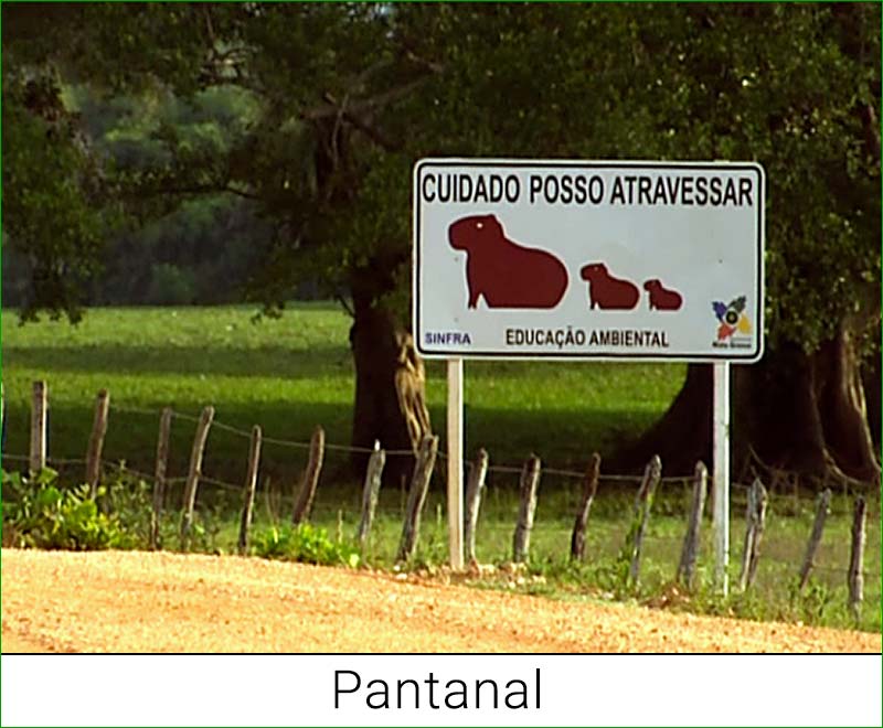 Pantanal-Reisen